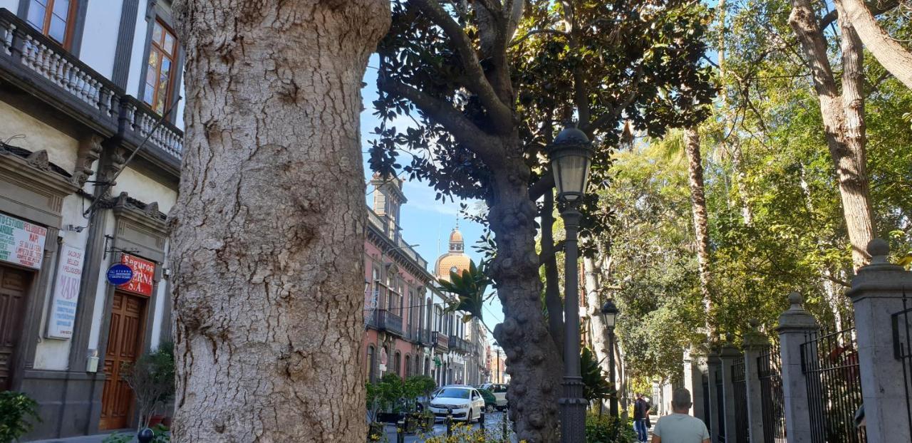 Vila Casa Isabel Centro Historico Arucas Exteriér fotografie